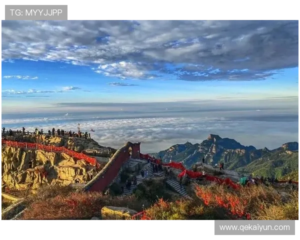 2026年登泰山比赛：挑战自我，攀登巅峰的激情之旅